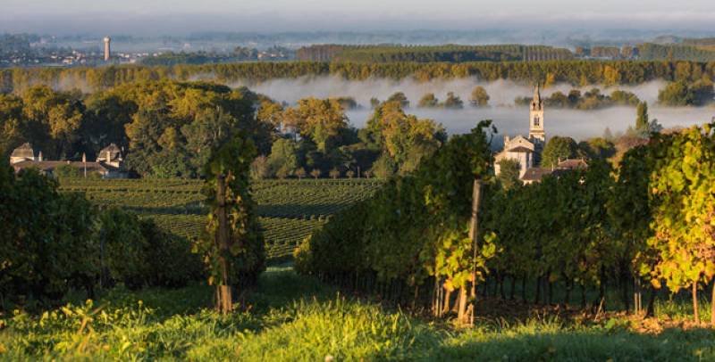 Changement d’un écran brisé sur un iPhone X à domicile sur le secteur de Pessac :